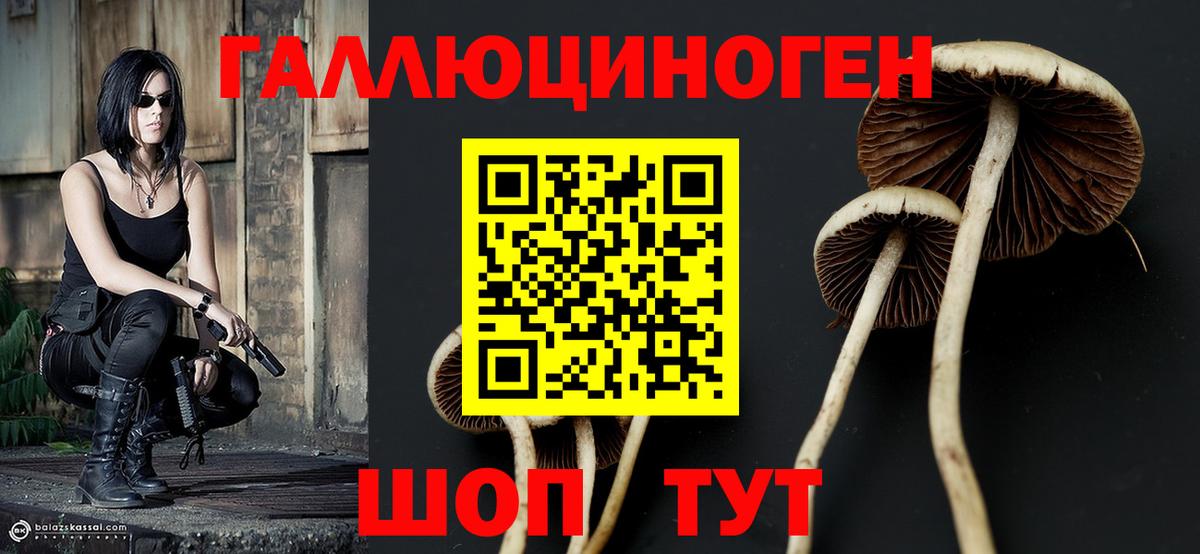 Псилоцибиновые грибы MAGIC MUSHROOMS  Вход с VPN  Псилоцибиновые грибы Psilocybine cubensis  Дубна 