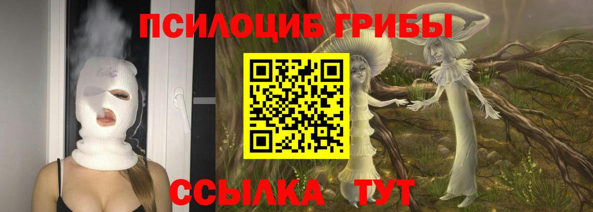 Галлюциногенные грибы MAGIC MUSHROOMS Дубна